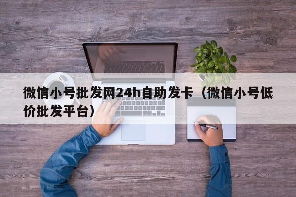 微信小号批发网24h自助发卡（微信小号低价批发平台）