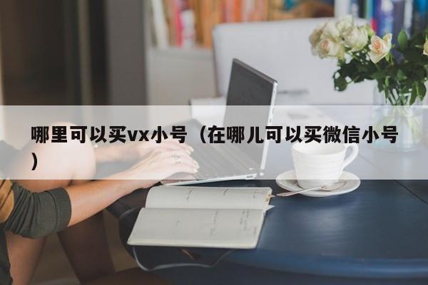 哪里可以买vx小号（在哪儿可以买微信小号）