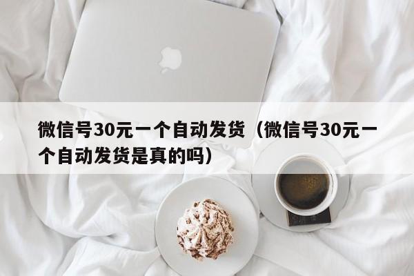 微信号30元一个自动发货（微信号30元一个自动发货是真的吗）