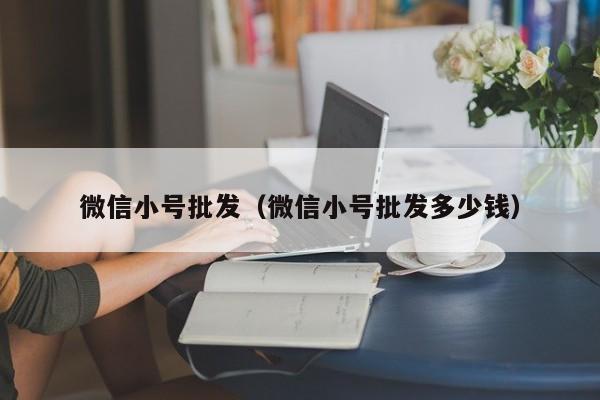 微信小号批发（微信小号批发多少钱）