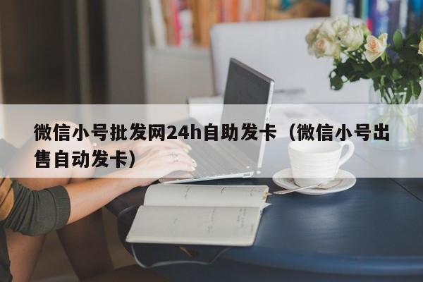 微信小号批发网24h自助发卡（微信小号出售自动发卡）