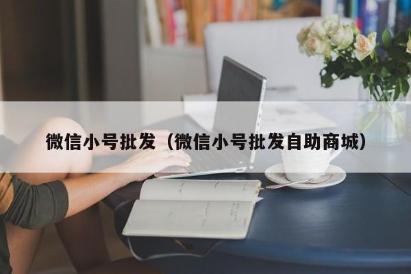 微信小号批发（微信小号批发自助商城）