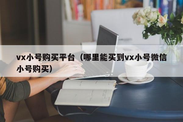 vx小号购买平台（哪里能买到vx小号微信小号购买）