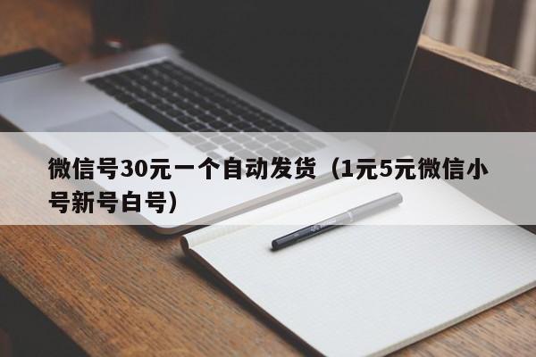 微信号30元一个自动发货（1元5元微信小号新号白号）