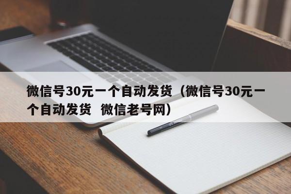 微信号30元一个自动发货（微信号30元一个自动发货  微信老号网）